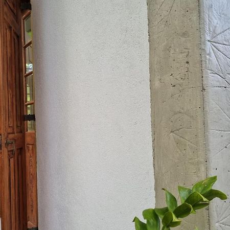 Colive Ahangama Dış mekan fotoğraf